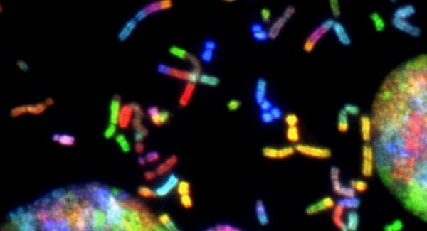 Chromosome en couleurs sur fond noir pour un test adn
